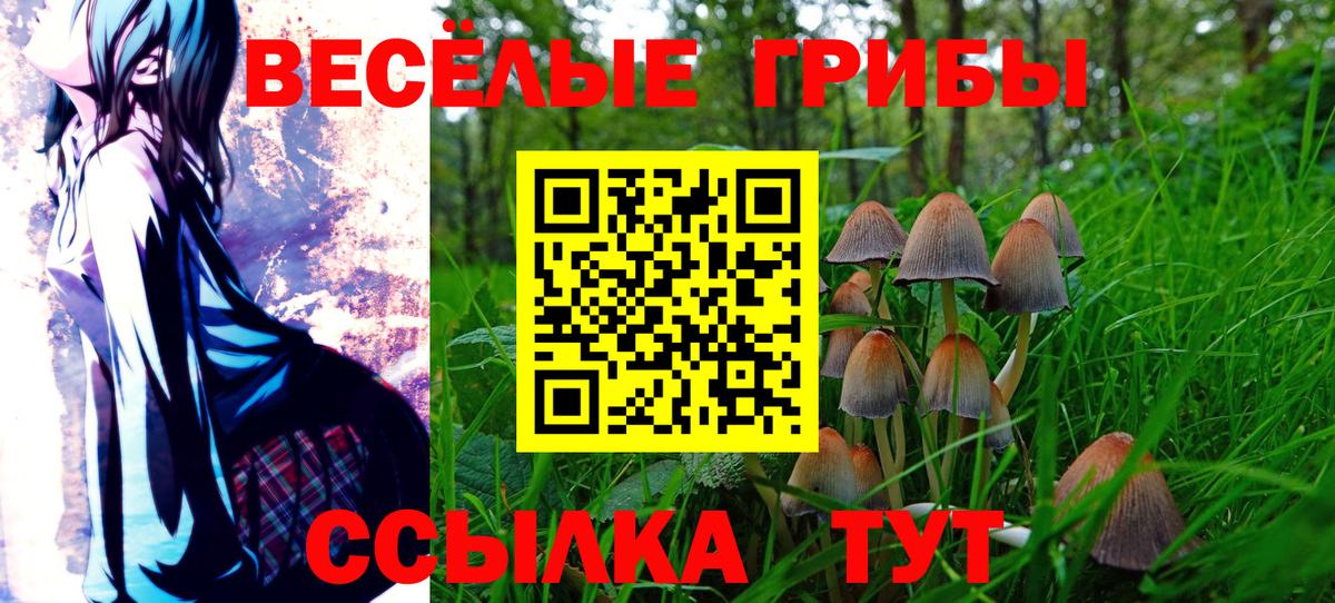 Галлюциногенные грибы мицелий  Псилоцибиновые грибы мицелий  Красноармейск  Вход с VPN 